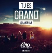Tu es grand - La ZAP - Louange live