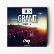 Tu es grand - La ZAP - Louange live